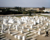 
H4431.jpg